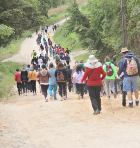 Os caminhantes percorreram mais de 11,1 quilômetros em meio a trilhas e estrada rural