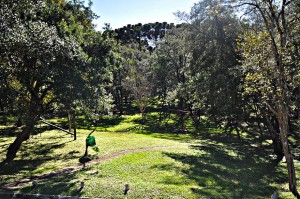 Novo Parque, no bairro Roça Grande, tem uma área de 55 mil m² para o lazer e atividades físicas 