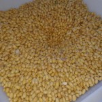 Os grãos de soja devem ser selecionados e deixados de molho na água por dez horas