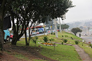 Os jardins dos canteiros e rotatórias em torno do Terminal do Maracanã também receberam serviços de jardinagem e paisagismo