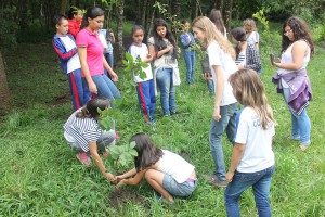 Os alunos plantaram 10 mudas de árvores nativas, dentro do parque. A iniciativa ressalta a importância da árvore para o meio ambiente