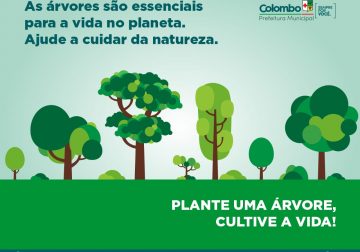 Meio Ambiente promove Semana da Árvore do dia 20 a 24 de setembro