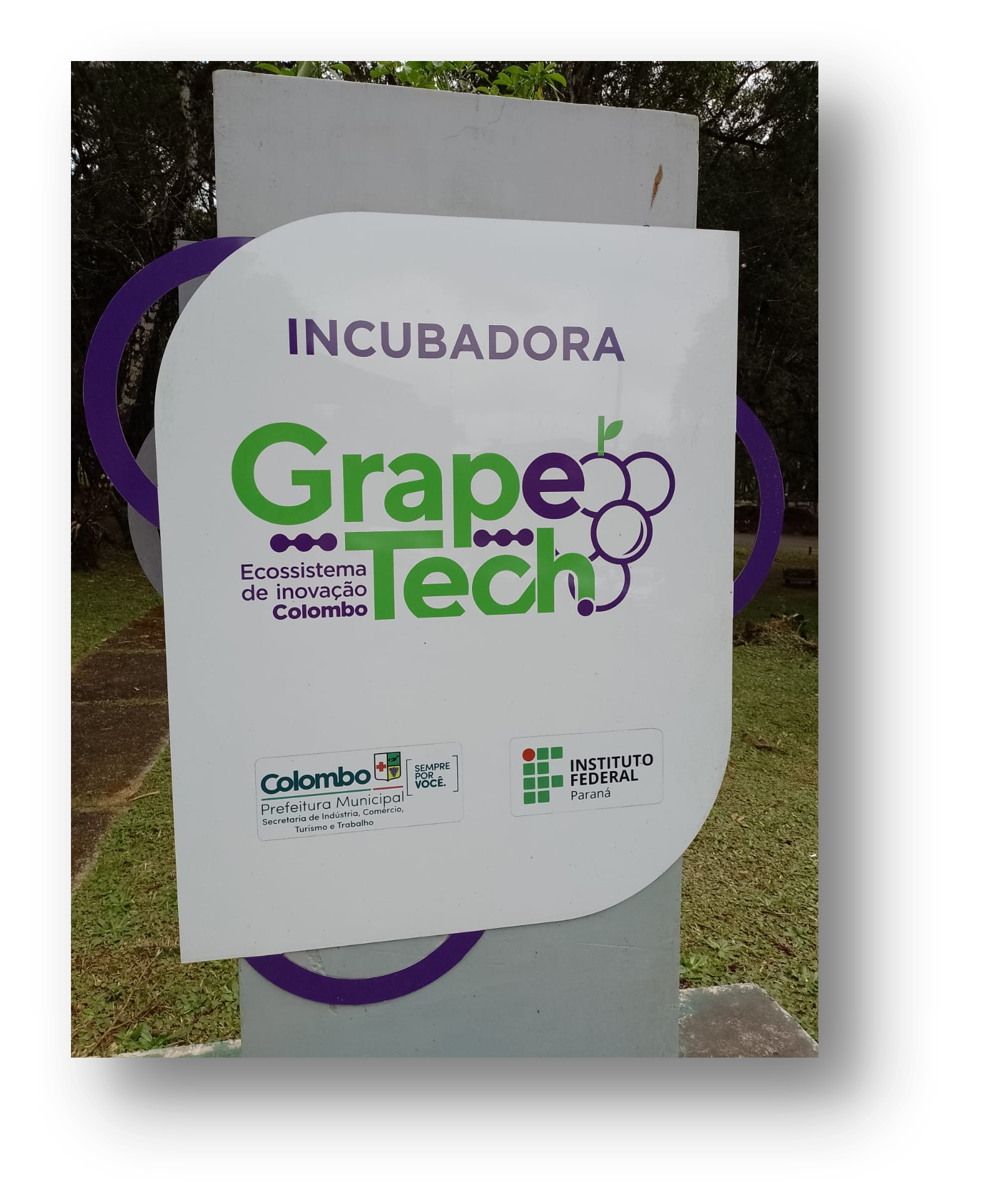 Projetos em Desenvolvimento